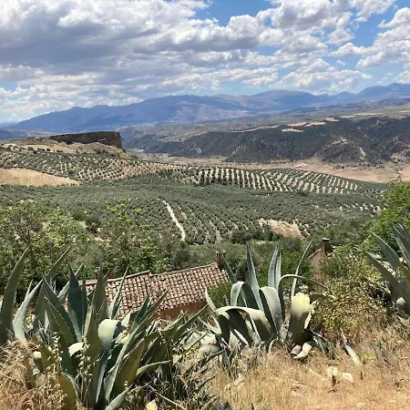 Dehesilla Olive Orchard Retreat * Fuentes de Cesna