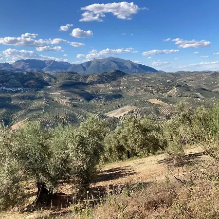 Dehesilla Olive Orchard Retreat Chalet *