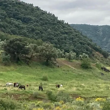 Dehesilla Olive Orchard Retreat Fuentes de Cesna