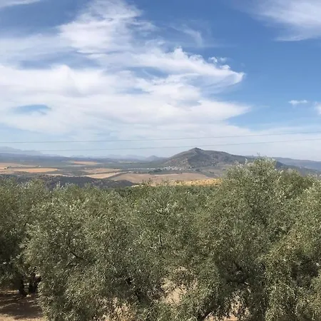 Dehesilla Olive Orchard Retreat Chalet