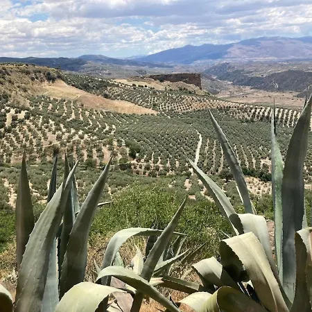Dehesilla Olive Orchard Retreat Chalet Fuentes de Cesna