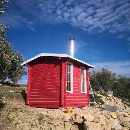Dehesilla Olive Orchard Retreat *