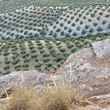 Dehesilla Olive Orchard Retreat Chalet