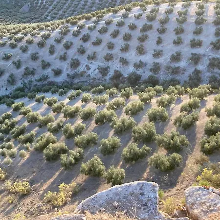Dehesilla Olive Orchard Retreat Chalet *