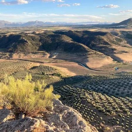 Dehesilla Olive Orchard Retreat Chalet *