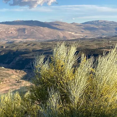 Dehesilla Olive Orchard Retreat Fuentes de Cesna
