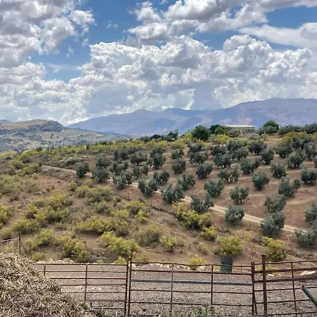 Dehesilla Olive Orchard Retreat Fuentes de Cesna