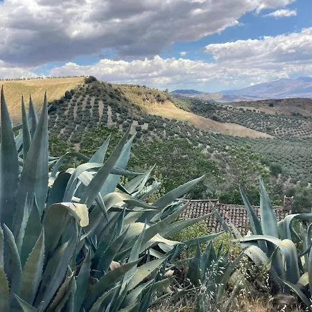 Dehesilla Olive Orchard Retreat Fuentes de Cesna