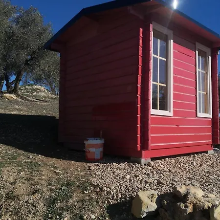 Dehesilla Olive Orchard Retreat