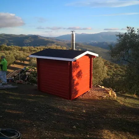 Dehesilla Olive Orchard Retreat